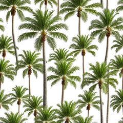 Dense forest of palm trees on black background. Repeating tropical pattern