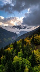 Mountain valley shrouded in clouds, autumnal forest hues