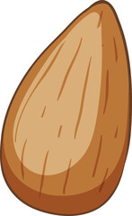 vector illustration of almond