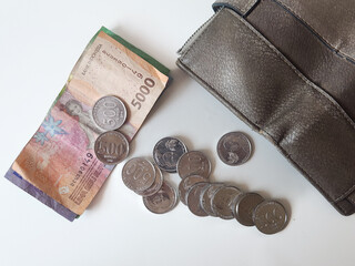 purse with coins