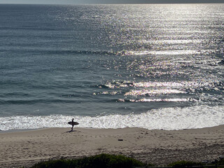 Wave surfer silhouette carry a surf board while walking on a sandy beach alone