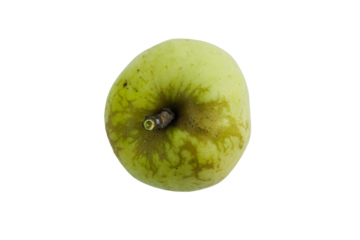 Bright green apple with unique texture on a plain background