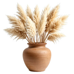 A terracotta vase holds a graceful arrangement of pampas grass, displaying a neutral color palette and a serene aesthetic isolated on a transparent background.