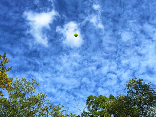 Green tennis ball flying high in a bright blue sky above treetops, wide negative space sports concept background for clean copy placement