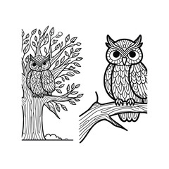 Detailed black and white owl illustrations in nature