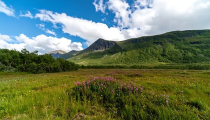 Lush mountain meadow under a vibrant blue sky