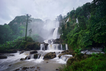 waterfall in green forest