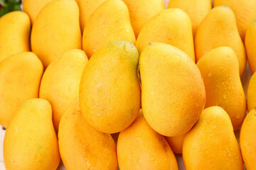 Fresh Handpicked Hainan Mangoes - Golden Yellow Tropical Fruit Pile Display