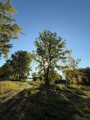 Obraz premium Autumn in Boucherville Islands National Park, Quebec, Canada