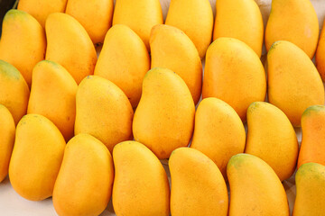 Fresh Xiaotainong Mangoes from Hainan Island China - Ripe Golden Tropical Fruit Display at Market