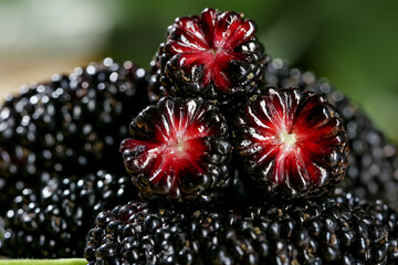Fresh Ripe Mulberries with Red Flesh Centers - Organic Berry Fruit Close-up