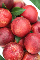 Fresh Australian Nectarine Stone Fruits with Green Leaves in Bowl - Premium Imported Produce