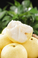 Fresh White Crown Pears with Water Droplets - Hebei Organic Fruit