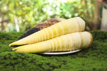 Fresh Bamboo Shoots from Tianmu Mountain Spring Harvest on Natural Moss Background