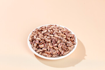 Colorful Pinto Beans in White Bowl - Dried Legumes Food Ingredient