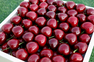 Fresh Red Cherries in Wooden Box from Dalian Shandong China Premium Summer Fruit Harvest