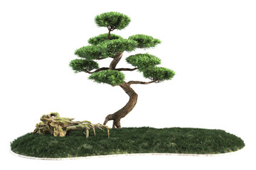 Styled bonsai tree with a rock and grass.