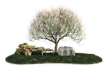 Pretty pink tree a rock mossy wood on green grass.