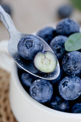 Fresh Blueberries on Spoon with Water Drops - Healthy Organic Fruit Closeup