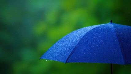 Blue umbrella raindrop water wet outdoor rainy weather closeup nature green background peaceful mood