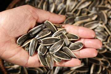 Handful of Striped Sunflower Seeds - Healthy Natural Snack Food