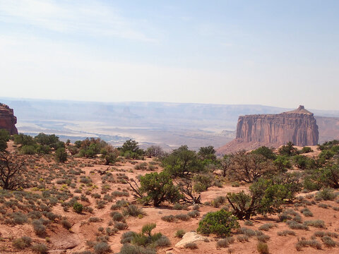 Mesa cliffs and desert vegetation in Canyonlands National Park