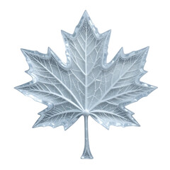 Fototapeta premium Crystalline Ice Maple Leaf with Detailed Vein Structure Freeze the Moment: Stunning Winter Elegance for Seasonal Campaigns
