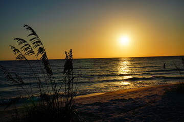 Sarasota, Florida USA - Sep 15, 2025: the sarasota beach sun set landscape
