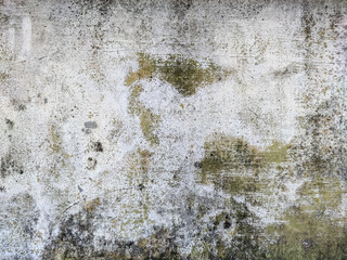 A rustic, weathered wall, featuring a striking texture of peeling paint and discoloration. The surface displays an appealing blend of white, green, and brown tones, creating an organic.