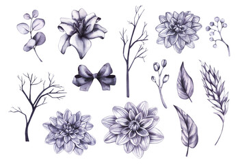 Watercolor set of monochrome hand drawn plants and flowers for Halloween design, packaging, cards, and clothing.