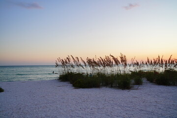Sarasota, Florida USA - Sep 15, 2025: the sarasota beach sun set landscape