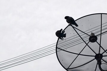 satellite dish on the roof