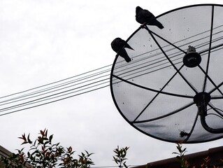 satellite dish on roof