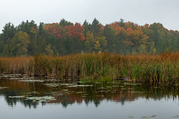 North Frontenac, Cruse Bay, Canonto, Ontario Canada in fall colours
