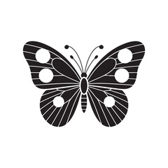 butterfly on a white background