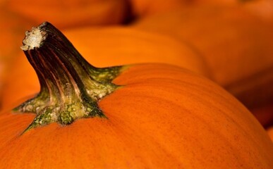 pumpkin on a wooden table