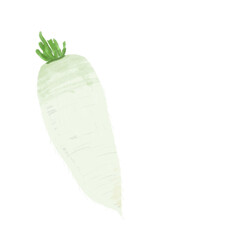 Radish