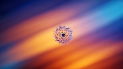Delicate Dandelion Seed Head Floating Against a Streaked Gradient Background of Blue and Orange fluff