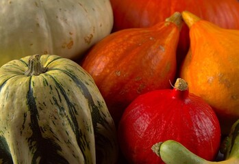 pumpkins and squash