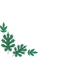 Layered oak and eucalyptus leaves in corner with soft shadows, perfect for romantic, rustic, or luxury design themes.
