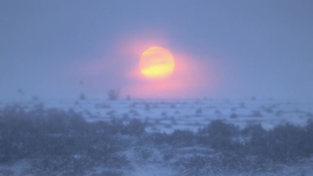 Winter Solstice Sunrise: Misty Landscape