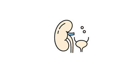 A clean flat vector illustration showcases a simplified kidney outline alongside a minimal bladder, emphasizing human organ care and overall health.