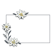 Elegant Edelweiss Flower Frame Design.
