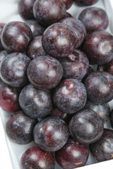 Fresh Dark Purple Plums with Natural Bloom in White Bowl - Organic Stone Fruit