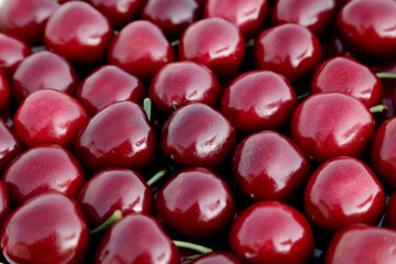 Fresh Red Cherries from Shandong China - Ripe Glossy Fruit Close-up