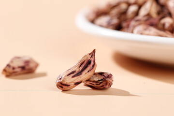 Dried Dates Close-up with Bowl of Sweet Fruit on Neutral Background