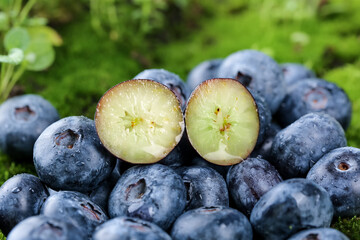 Fresh Alpine Blueberries Cut in Half Showing White Pulp on Green Moss Background © BuiThi