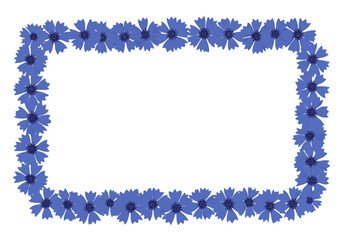 Blue Cornflower Flower Frame Border.