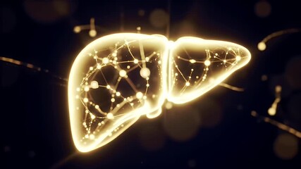 Golden Illuminated Liver Anatomy Model with Internal Network Visualization on Dark Backdrop Perfect for Medical Visuals and Healthcare Concepts and Anatomical Study - Powered by Adobe