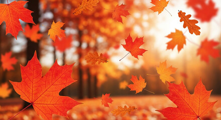 Autumn leaves falling in a forest with warm sunlight
